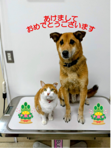 新年あけましておめでとうございます
