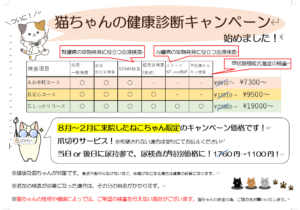 猫ちゃんに朗報！！