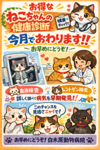 今月いっぱいですよ！